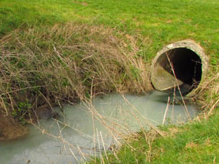 Pour une bonne qualit des eaux