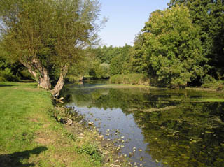 L'Yerres à Boussy-Saint-Antoine L'Yerres à Boussy-Saint-Antoine