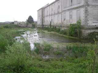 Les douves en eau