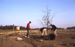 La carrire et le moulin en ruine