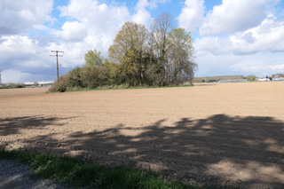 et vingt ans aprs ?
