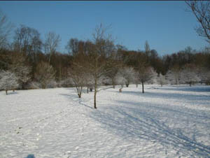 La prairie ouest sous la neige