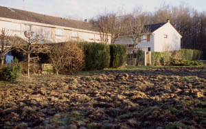 Les sangliers vermillent dans la prairie sud, prs des pavillons