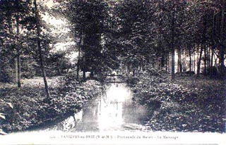 Les bords de la Marsange