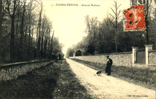 L'avenue Marbeau