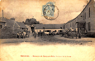 Le btail dans la cour de la ferme