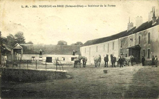 Les chevaux dans la cour de la ferme