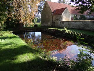 La mare de la ferme des Bons Hommes