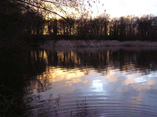 L'tang de Croissy, le 18 fvrier 2006