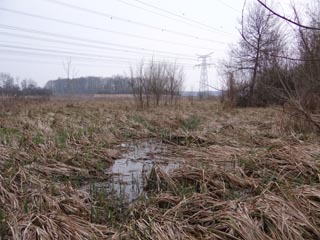 Les milieux humides de la plaine de Lamirault