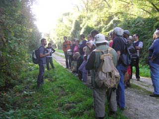 Chemin du Bois de Bussy