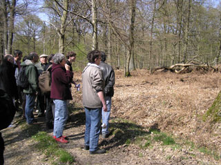 Les arbres morts