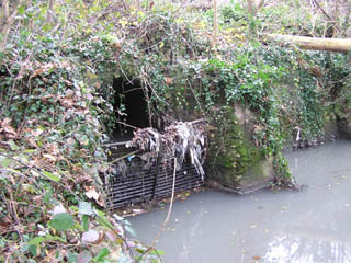 Trop pliend d'eaux uses dans le rue de la Mnagerie, le  18 janvier 2007