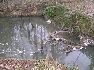 Les eaux  uses dans le rue de la Mnagerie, le 22 fvrier 2008