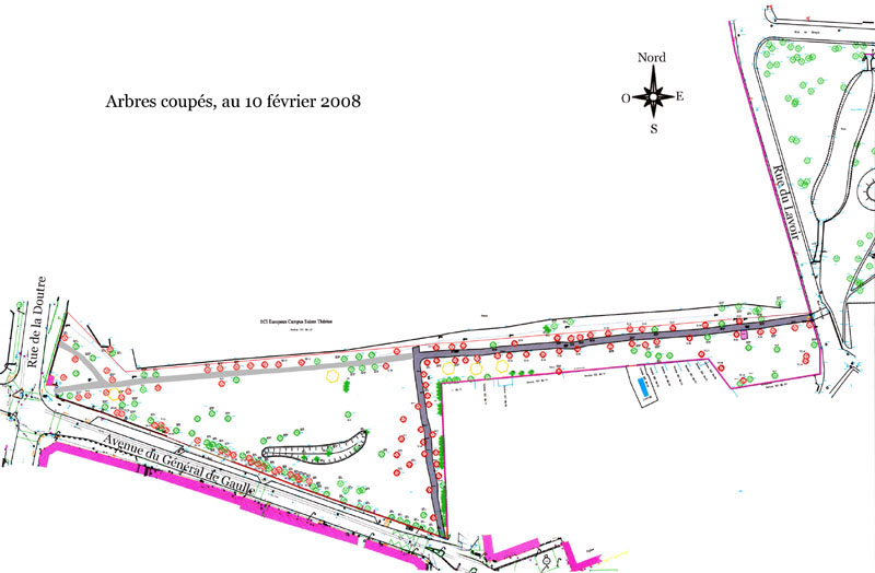 Reprage des arbres finalement abattus