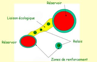 Schma de liaison cologique