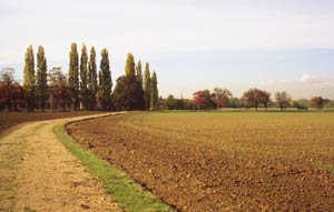 Le chemin Richour depuis la route dpartementale