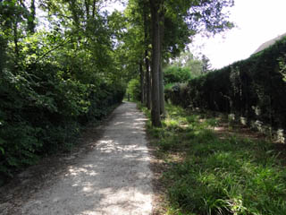 Le chemin rural n 16