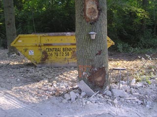 Des arbres blesss par les engins