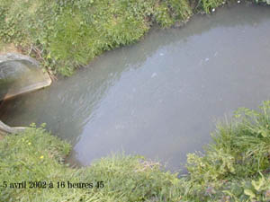 Pollution au Grand-Etang