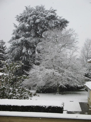 Le jardin sous la neige