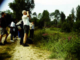 Observation de pie griche corcheur