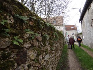 Une sente et un vieux mur