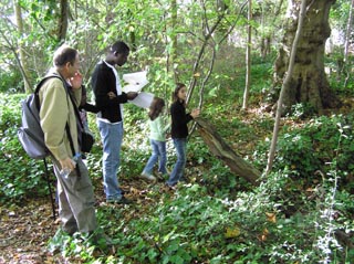 Le petit boisement, en 2004