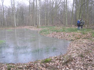 La mare bien en eau après les pluis d'hiver