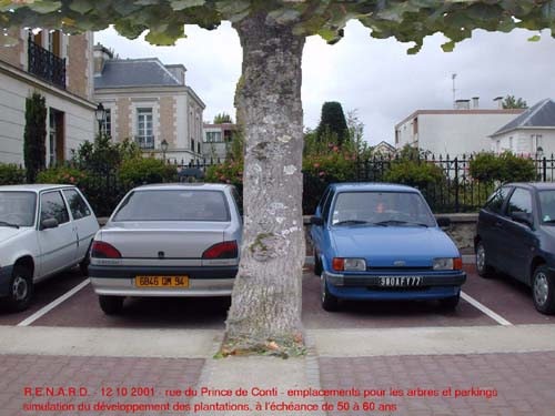 Simulation arbre adulte  et parking