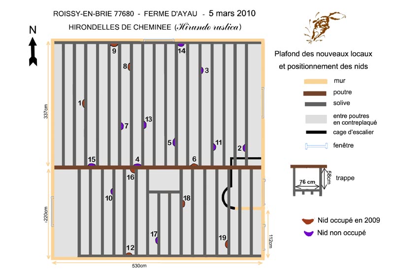 Plan d'implantation des nids