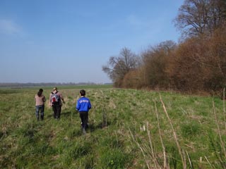 Le long du bois de la Livrerie