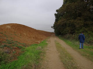 Les remblais masquent le paysage