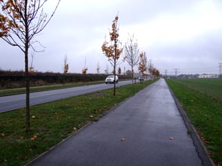 La piste cyclable