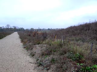 Le chemin rural des Vieilles Vignes