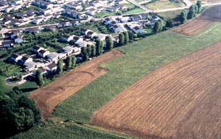 Le ru du Moulin vers 1980