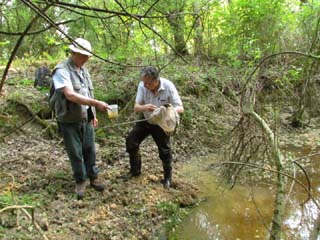 Inventaire d'une mare dans le Bois du Jariel