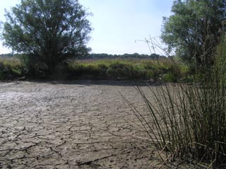 Un plan d'eau en t, parfois