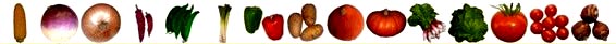 BandeauMegumes-a
