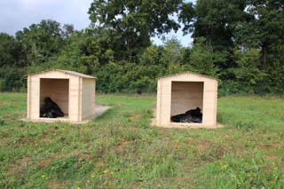 Les cabanes de rangement des outils