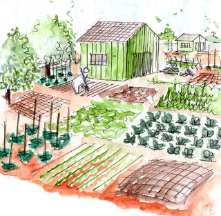 Des jardins